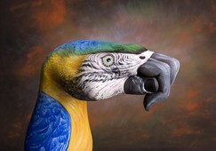 Parrot on brown Hand Painting | Guido Daniele