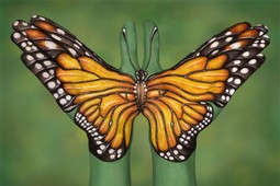 Monarch Butterfly Hand Painting | Guido Daniele