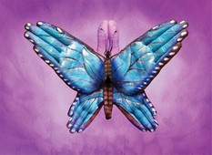 Blue Butterfly Hand Painting | Guido Daniele