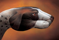 Pointer Dog Hand Painting | Guido Daniele