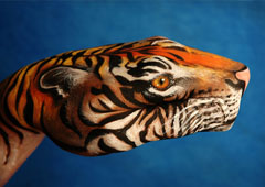 Tiger Hand Painting | Guido Daniele