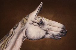 White Horse on brown Hand Painting | Guido Daniele