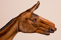 Brown Horse on white Hand Painting | Guido Daniele