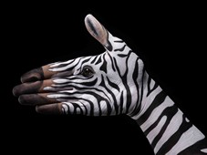 Zebra Hand Painting | Guido Daniele