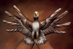 Bald Eagle two hands Hand Painting | Guido Daniele