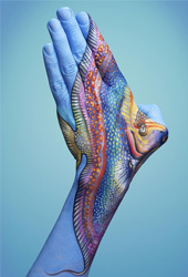 Tropical Fish Hand Painting | Guido Daniele
