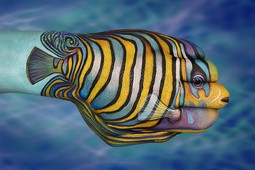Tropical Fish 2 Hand Painting | Guido Daniele