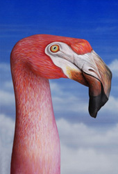 Flamingo on sky Hand Painting | Guido Daniele