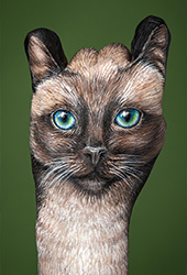Cat Siamese Hand Painting | Guido Daniele