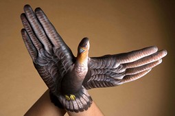 Falcon two hands Hand Painting | Guido Daniele