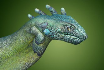 Iguana - Ph. Andric