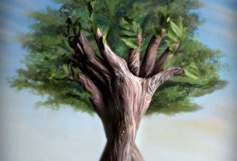 Tree - Ph. Guido Daniele