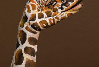 Giraffe on brown - Ph. M.J. Daniele